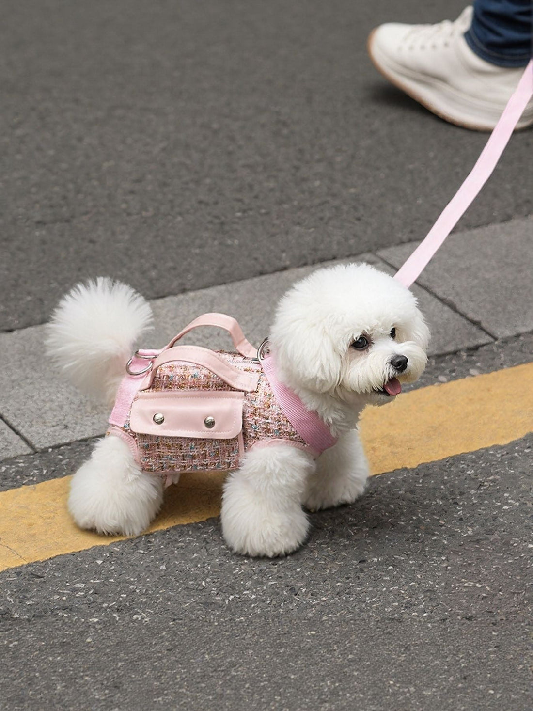 Adjustable tweed dog harness with matching leash set