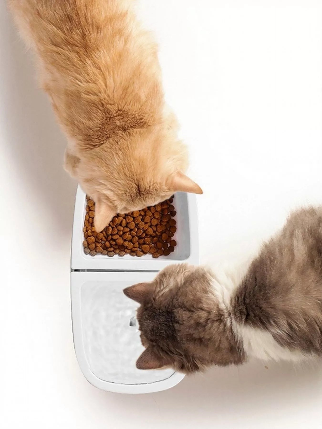 2-in-1 Electric Pet Water Dispenser and Food Bowl – view 7