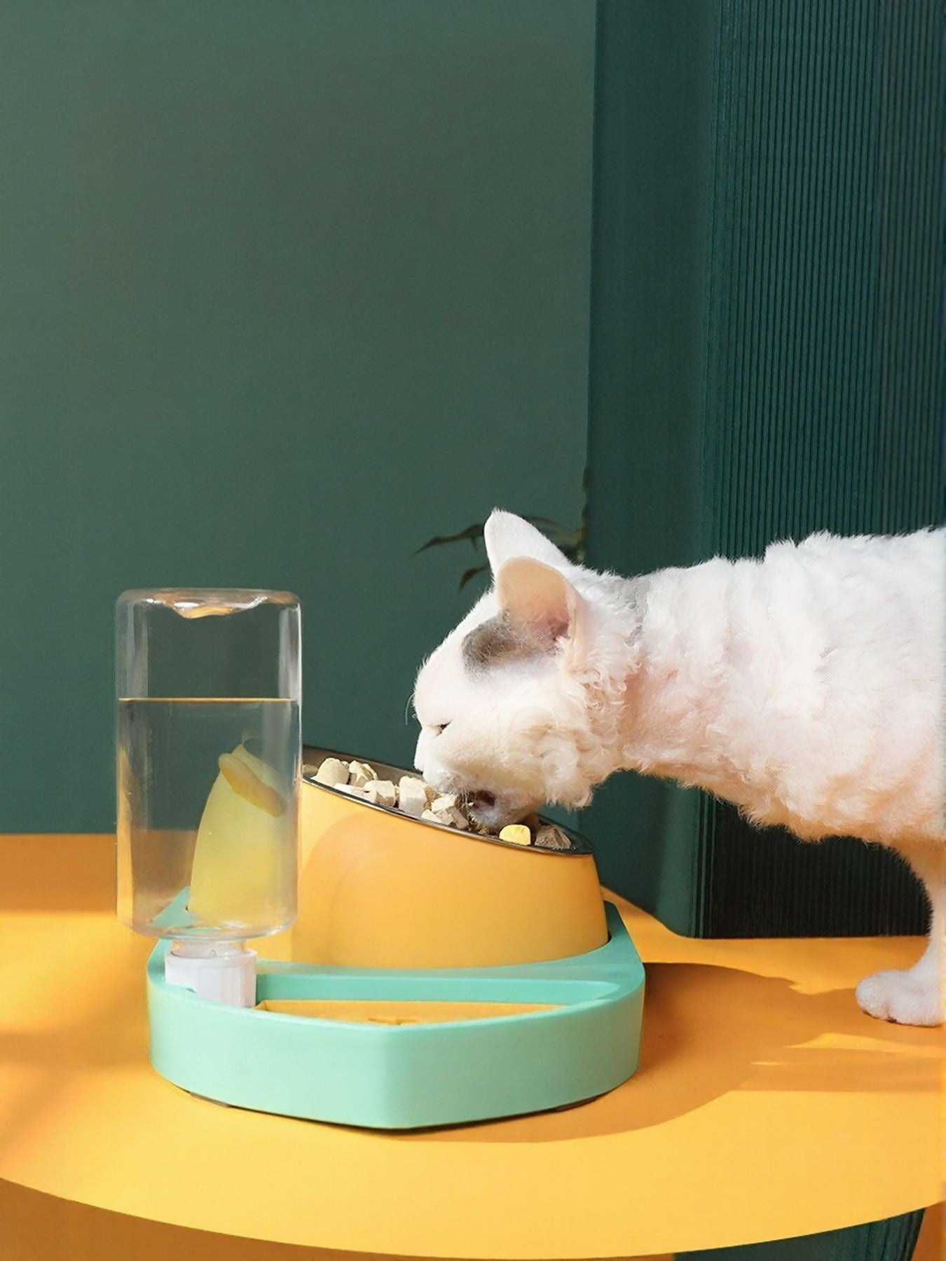 Five-piece automatic water refill pet bowl set for dogs and cats