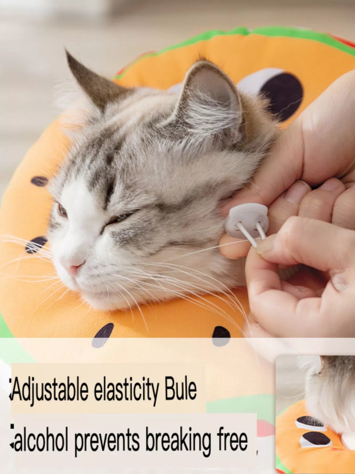 Adjustable Cute Pet Collar – Soft Everyday Collar for Dogs & Cats – view 3
