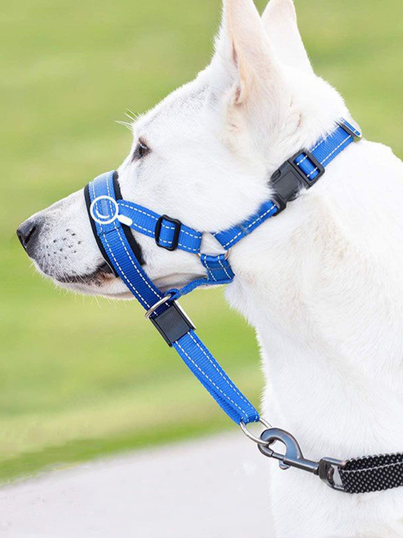 Adjustable Dog Muzzle – Soft Polyester Safety Muzzle for Small to Large Dogs – view 2