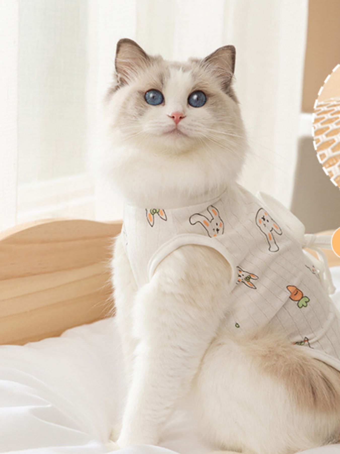 Adjustable Lace-Up Cotton Pet Recovery Suit – Post-Surgery Bodysuit for Dogs & Cats – view 12