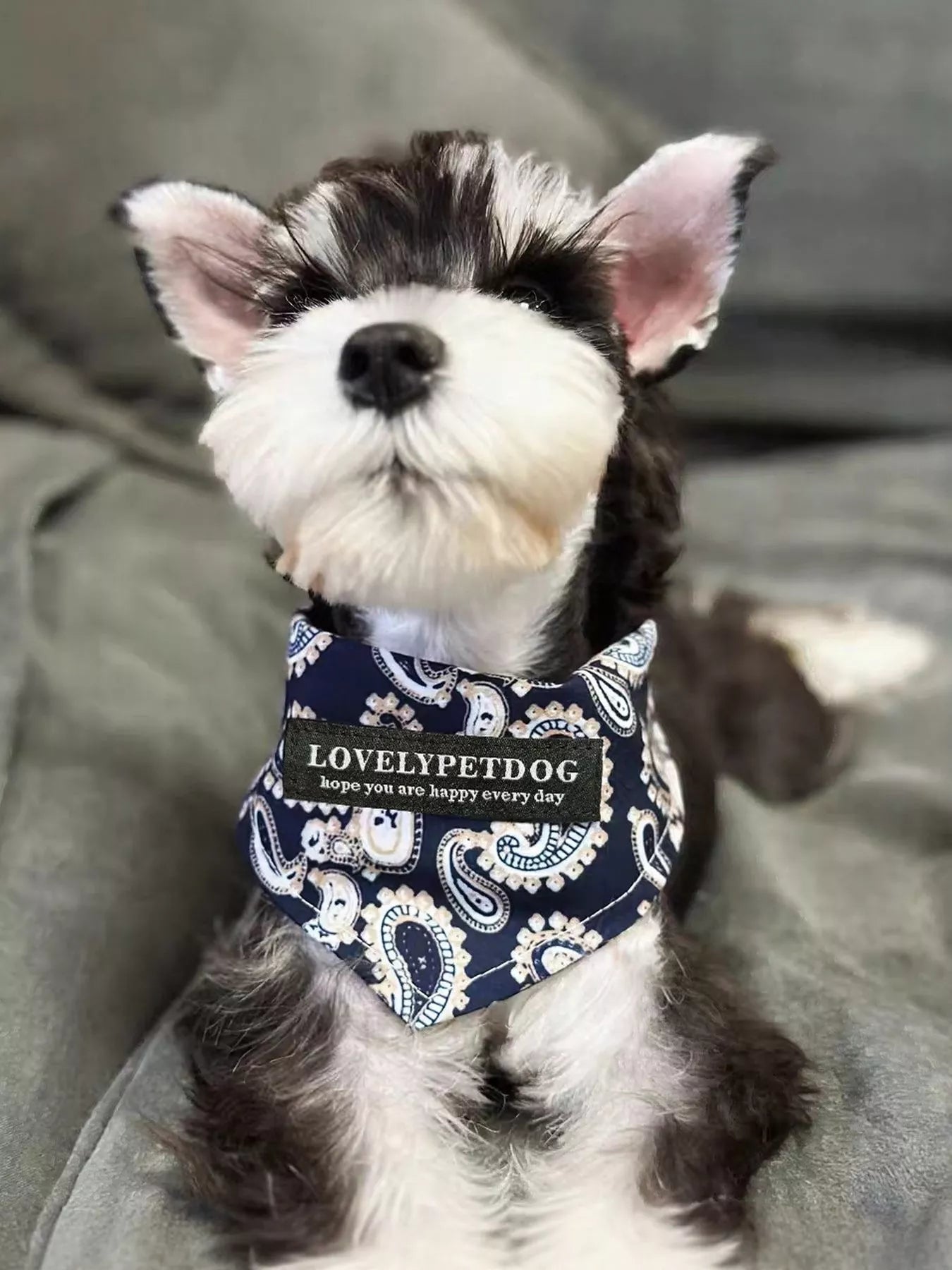 Adjustable Lightweight Pet Scarf – Soft Neck Wrap for Dogs & Cats – view 8