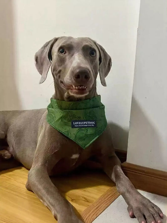 Adjustable lightweight pet scarf, soft neck wrap for dogs and cats