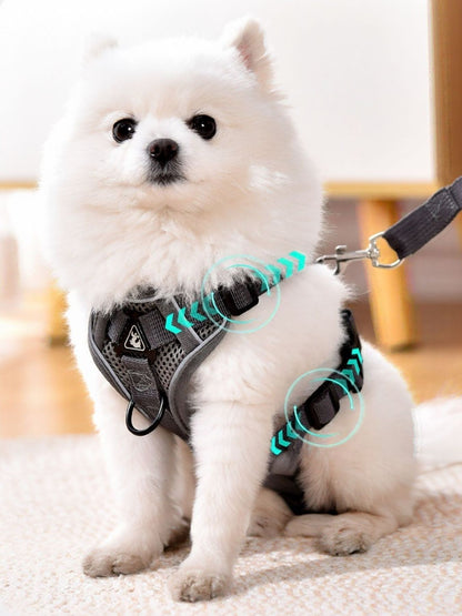 Adjustable Polyester Pet Harness & Leash Set – 2-Piece Walking Set for Dogs & Cats – view 2
