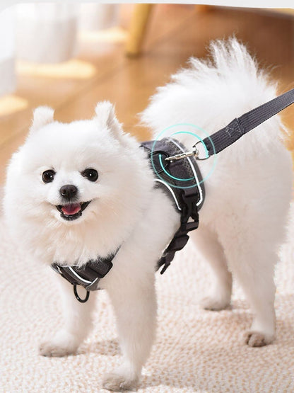 Adjustable Polyester Pet Harness & Leash Set – 2-Piece Walking Set for Dogs & Cats – view 3