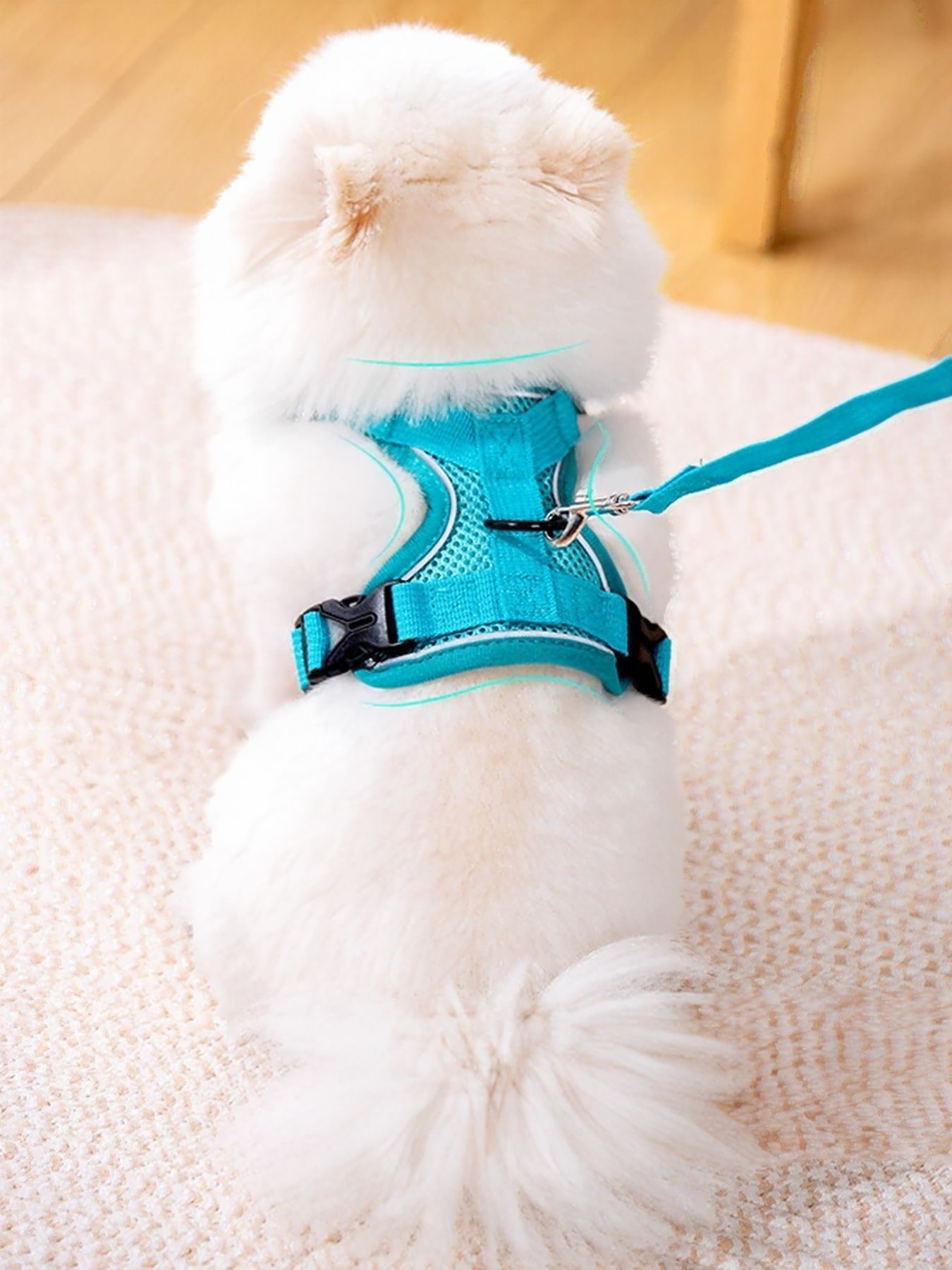 Adjustable Polyester Pet Harness & Leash Set – 2-Piece Walking Set for Dogs & Cats – view 5