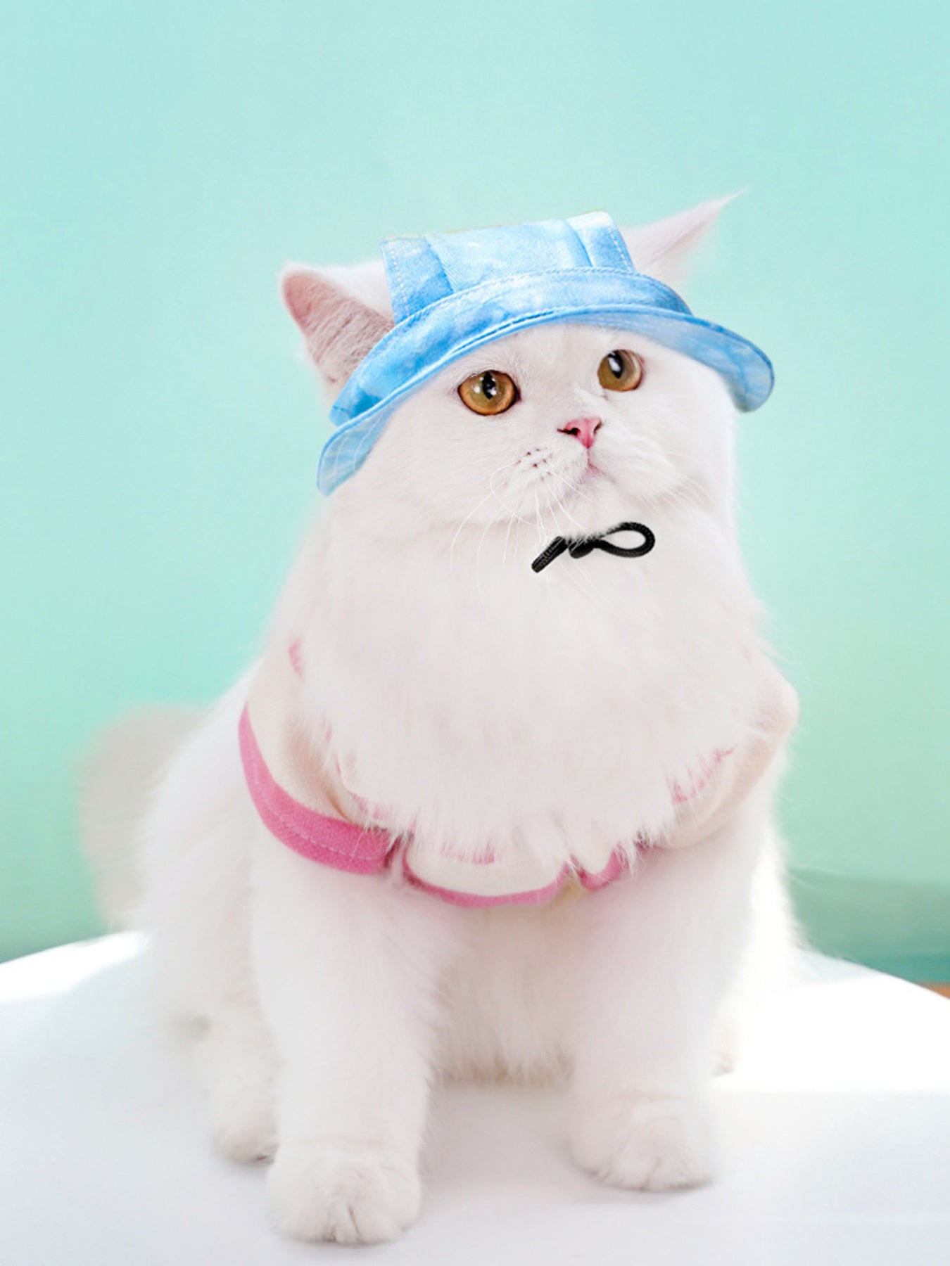 Adjustable Polyester Pet Visor Hat – UV Sun Protection for Dogs & Cats – view 6