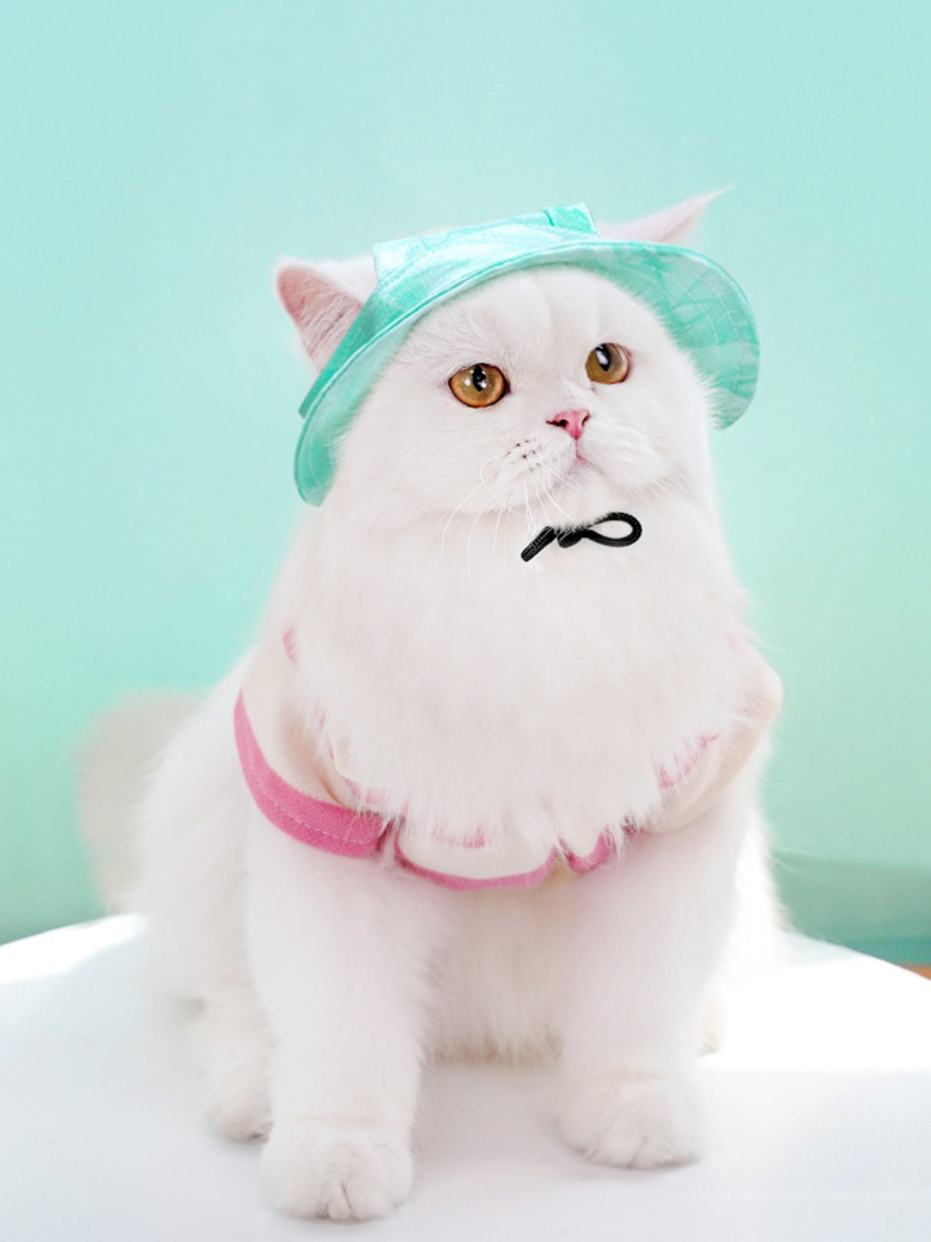 Adjustable polyester pet sun visor hat with UV protection for dogs and cats