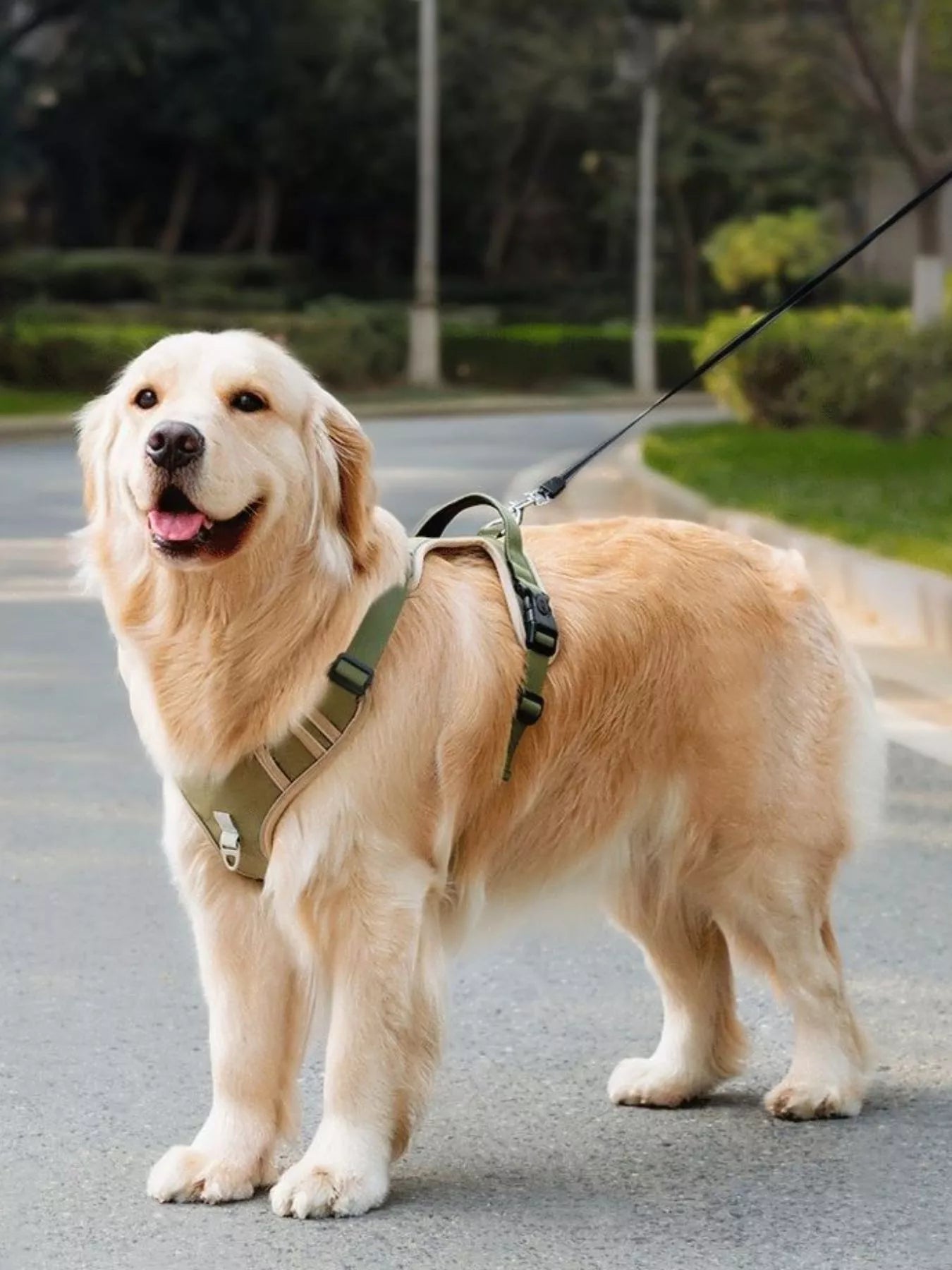 Adjustable reflective no-pull pet harness, safe walking harness for dogs