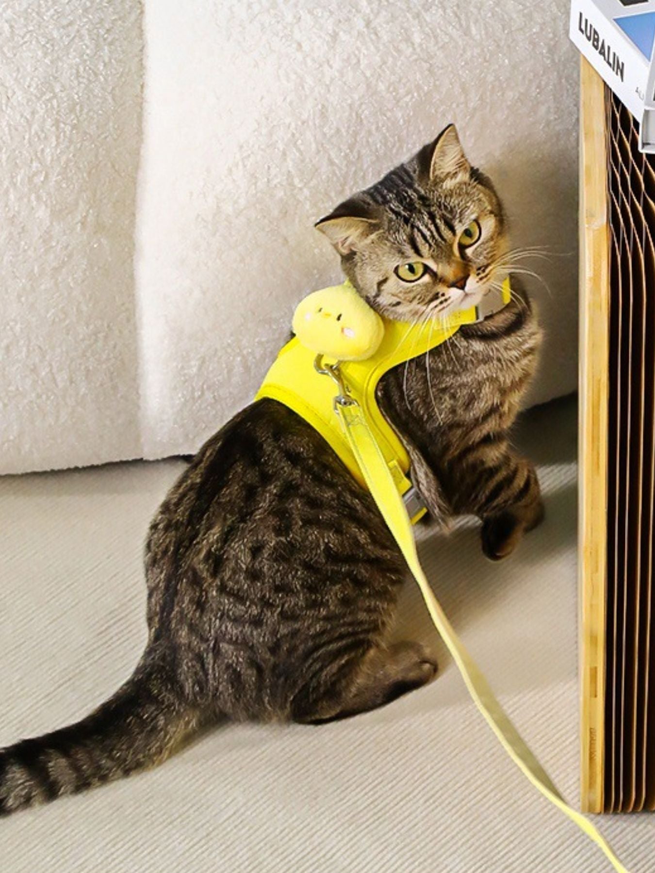Animal Print Breathable Mesh Pet Harness – Lightweight Dog & Cat Walking Harness – view 9