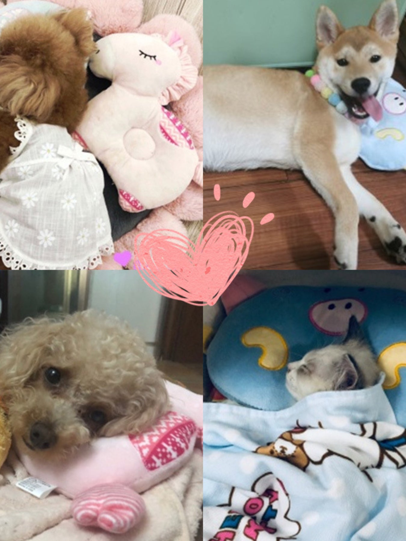 Animal Shaped Head Protection Plush Pillow Pet Toy – view 5