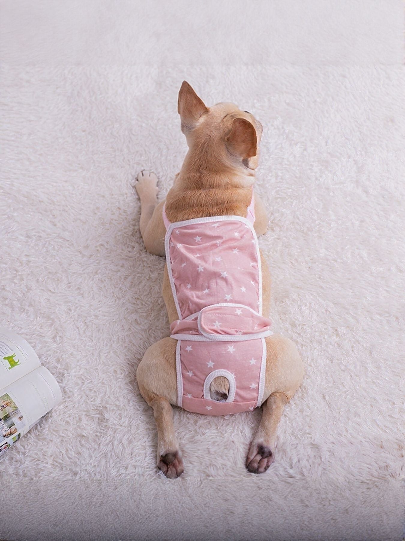 Anti-Anxiety Calming Pet Wrap – Functional Stress Relief Clothing for Dogs & Cats – view 3