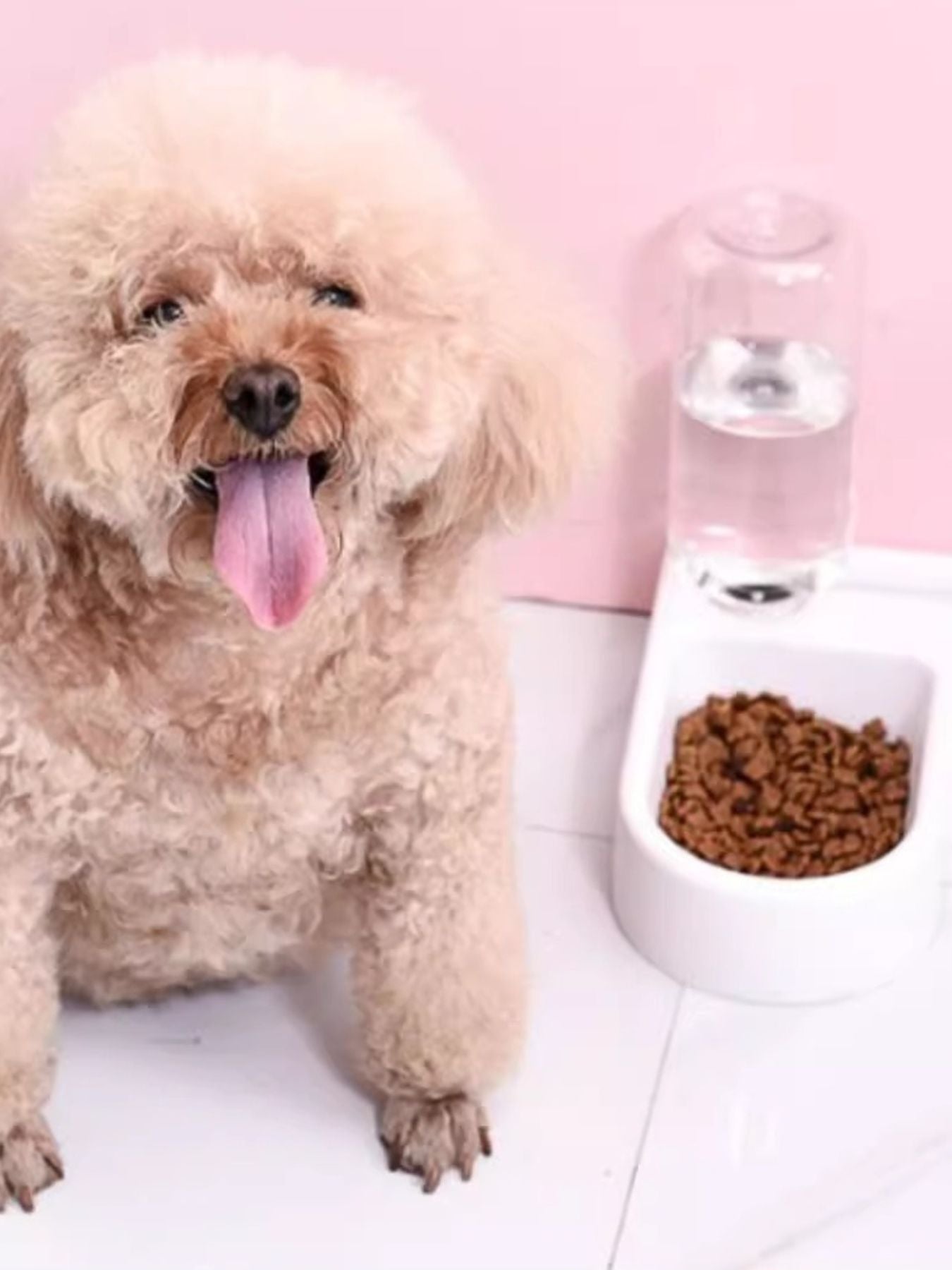 Automatic water refilling pet bowls for dogs and cats