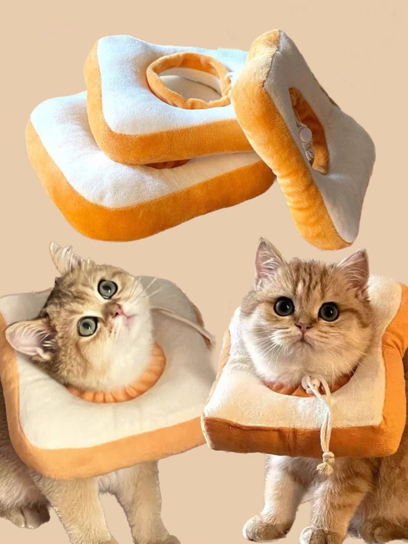 Avocado & Toast Shape Pet Collar – Novelty Decorative Collar for Dogs & Cats – view 9