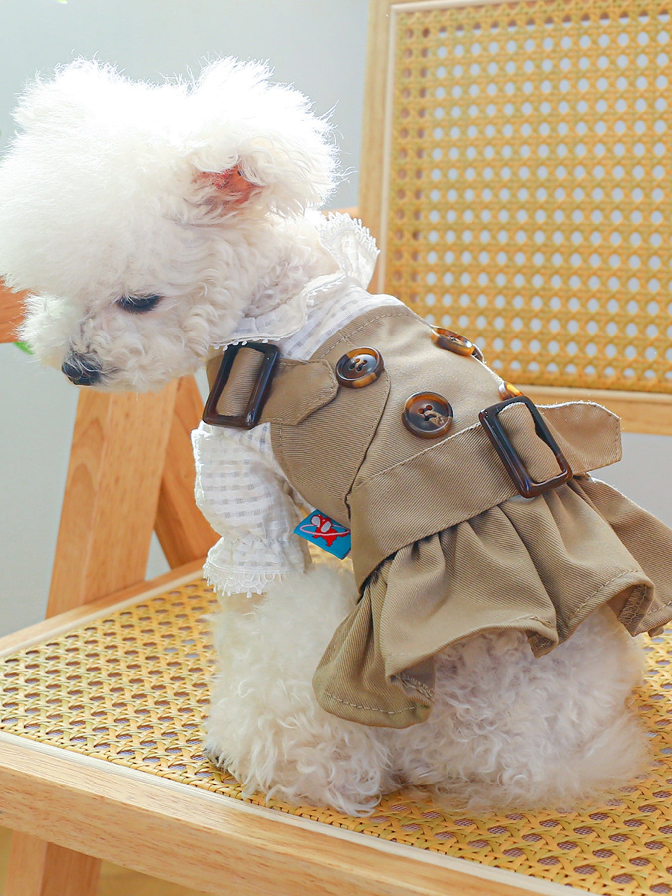 Khaki belted buckle pet trench coat, polyester coat for dogs and cats