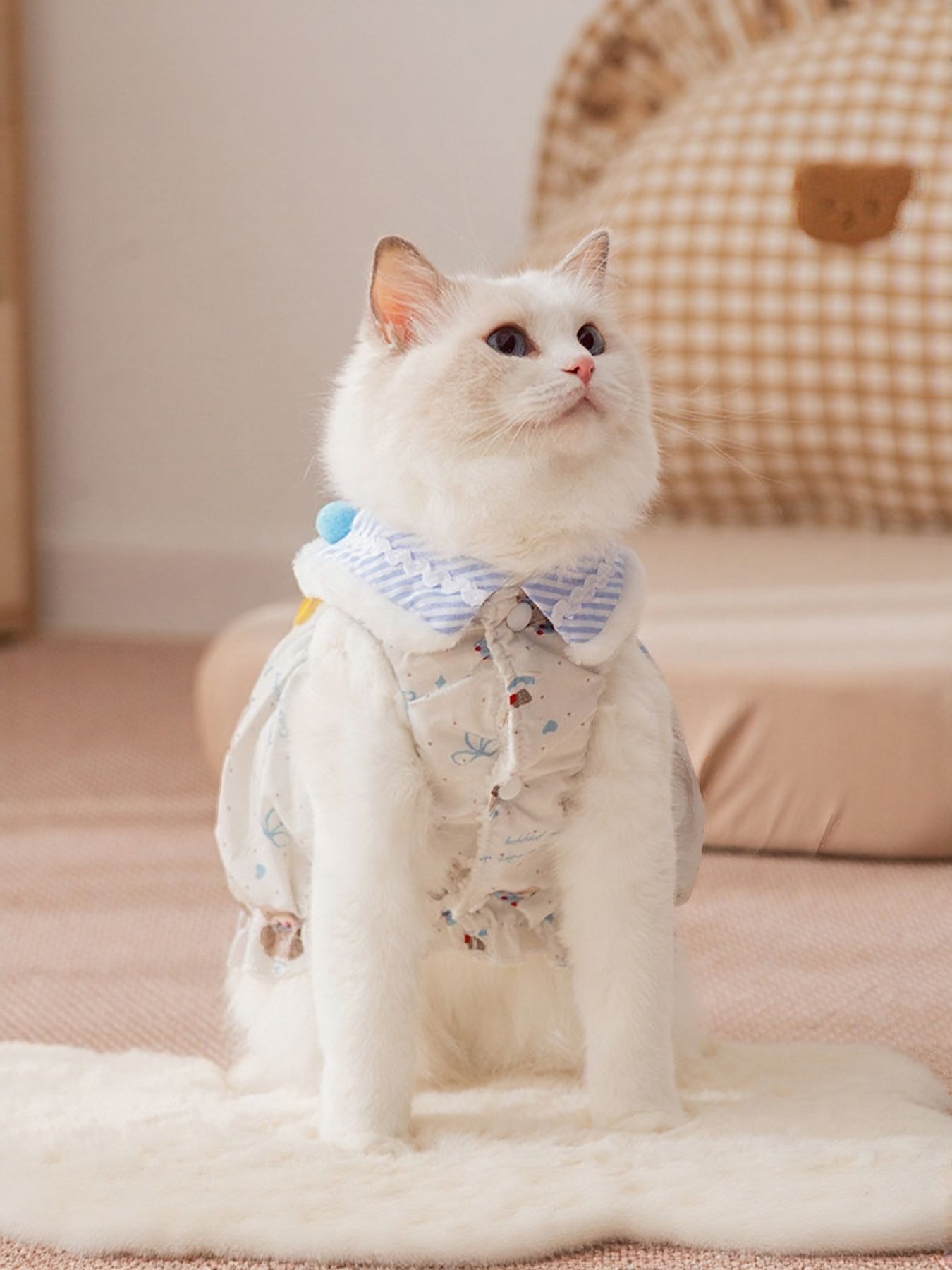 Bow button-down pet dress, cute everyday dress for dogs and cats