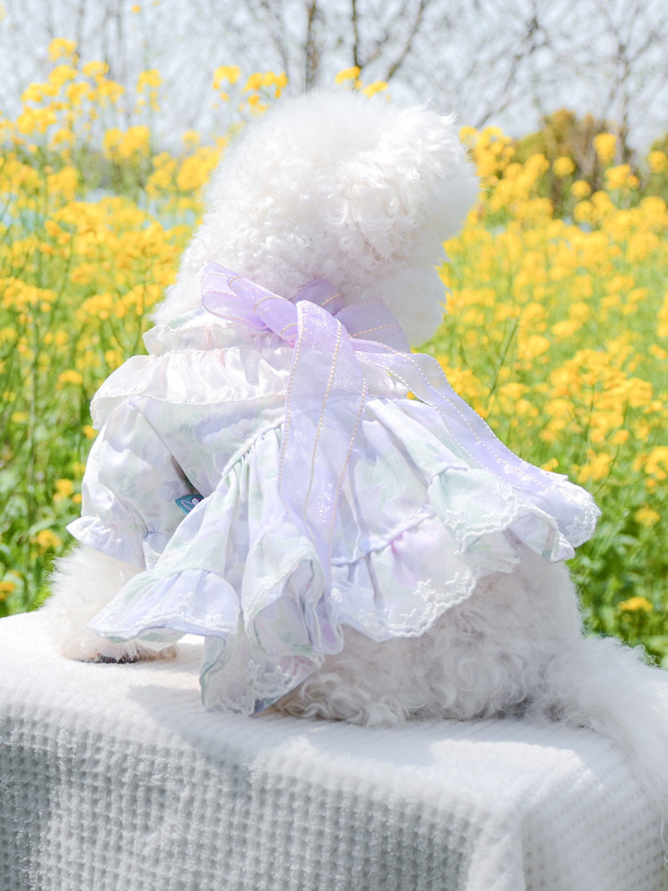 Bow Print Lace Ruffle Pet Dress – Polyester Party Dress for Dogs & Cats – view 6