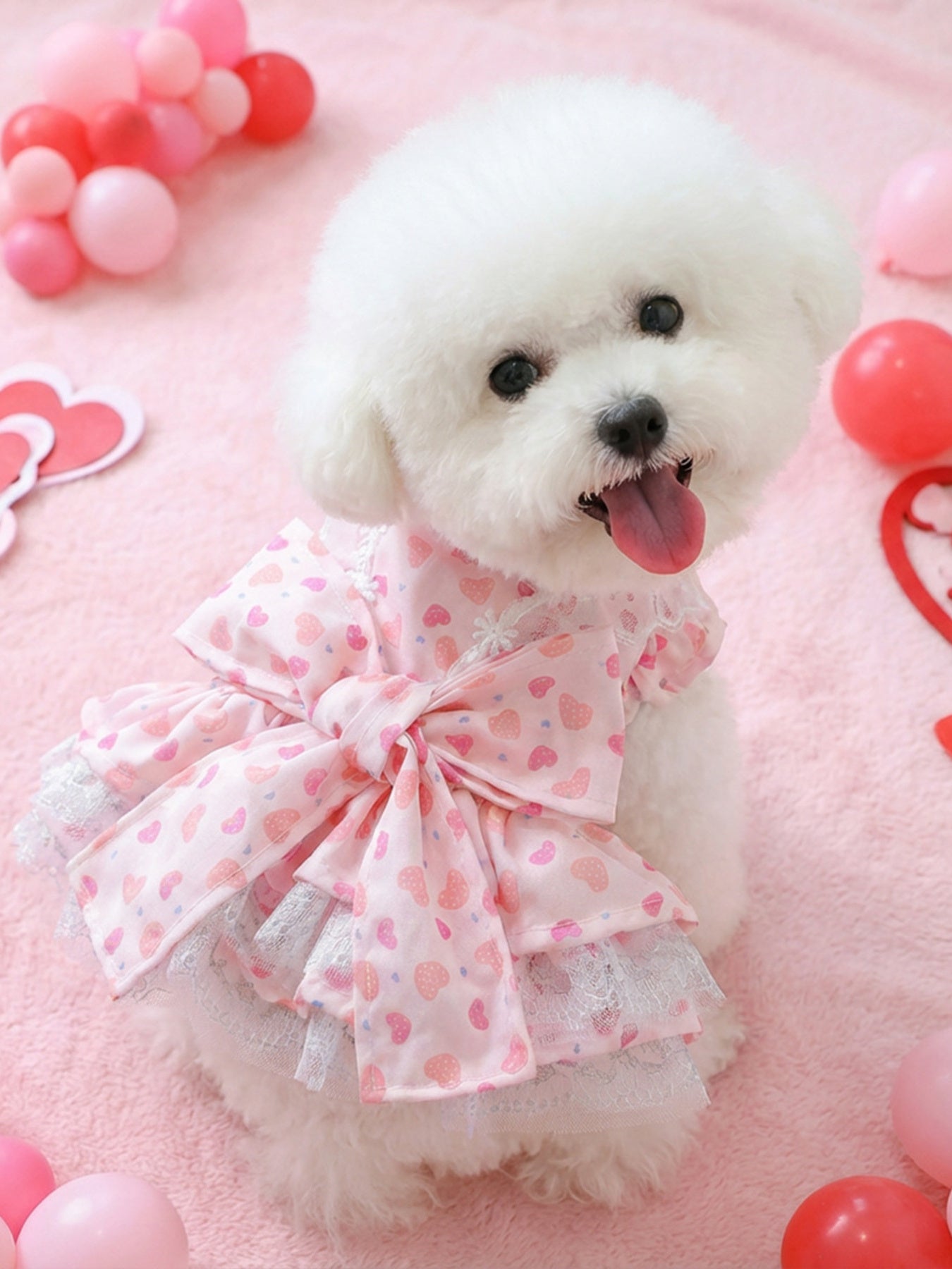 Bow print lace ruffle pet dress, polyester party dress for dogs and cats