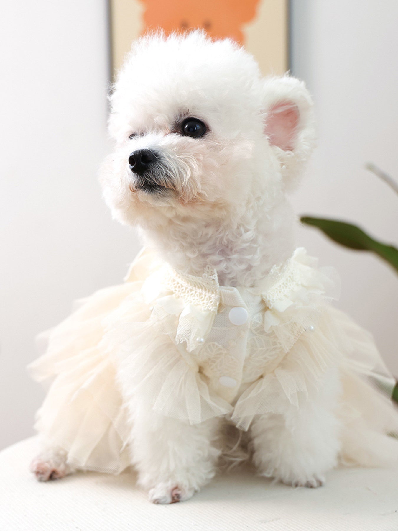 Bow Tulle Tiered Ruffle Pet Dress – Lace Party Dress for Dogs & Cats – view 2