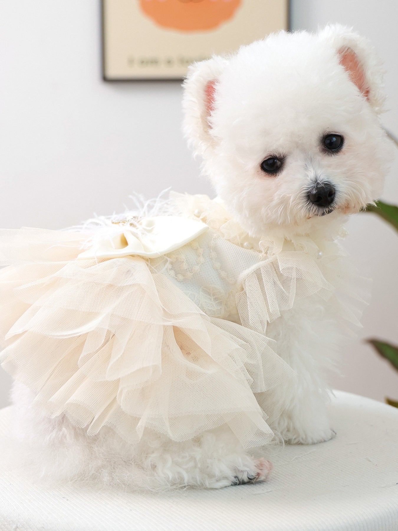 White bow tulle tiered ruffle pet dress, lace party dress for dogs and cats