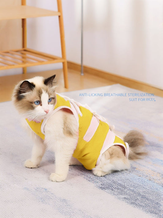 Breathable post-surgery pet recovery suit, anti-lick spay and neuter bodysuit for dogs and cats