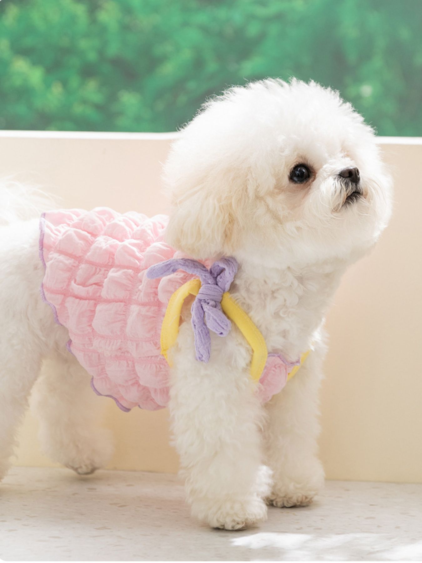 Bubble Texture Bow Tie-Shoulder Pet Top – Structured Polyester Shirt for Dogs & Cats – view 3