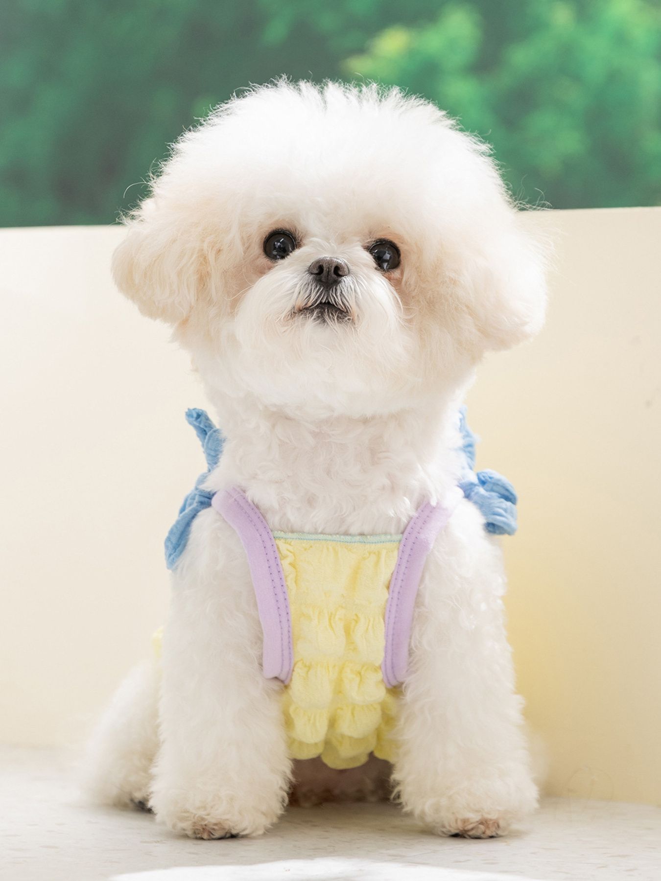 Bubble Texture Bow Tie-Shoulder Pet Top – Structured Polyester Shirt for Dogs & Cats – view 7