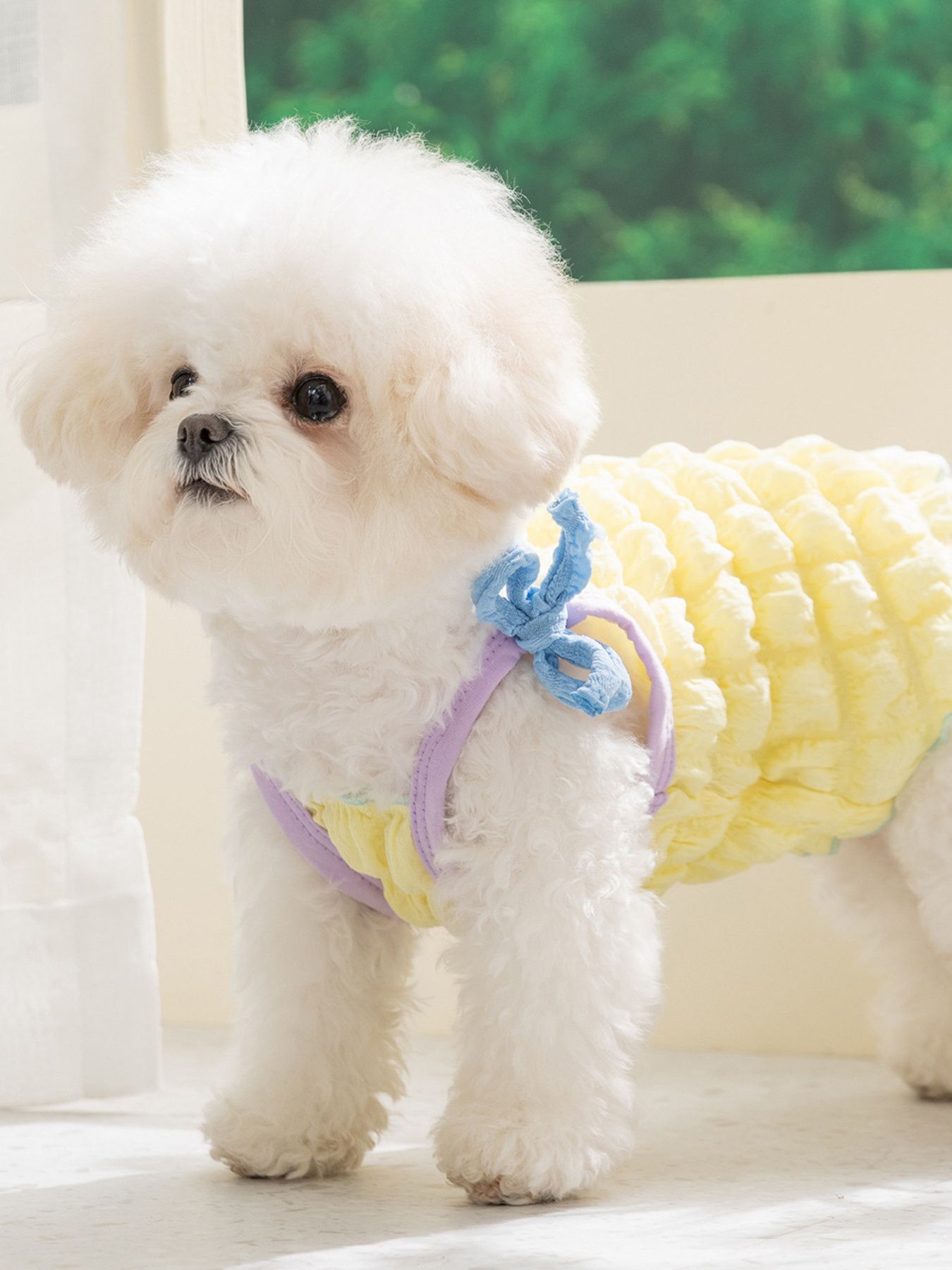 Bubble Texture Bow Tie-Shoulder Pet Top – Structured Polyester Shirt for Dogs & Cats – view 8