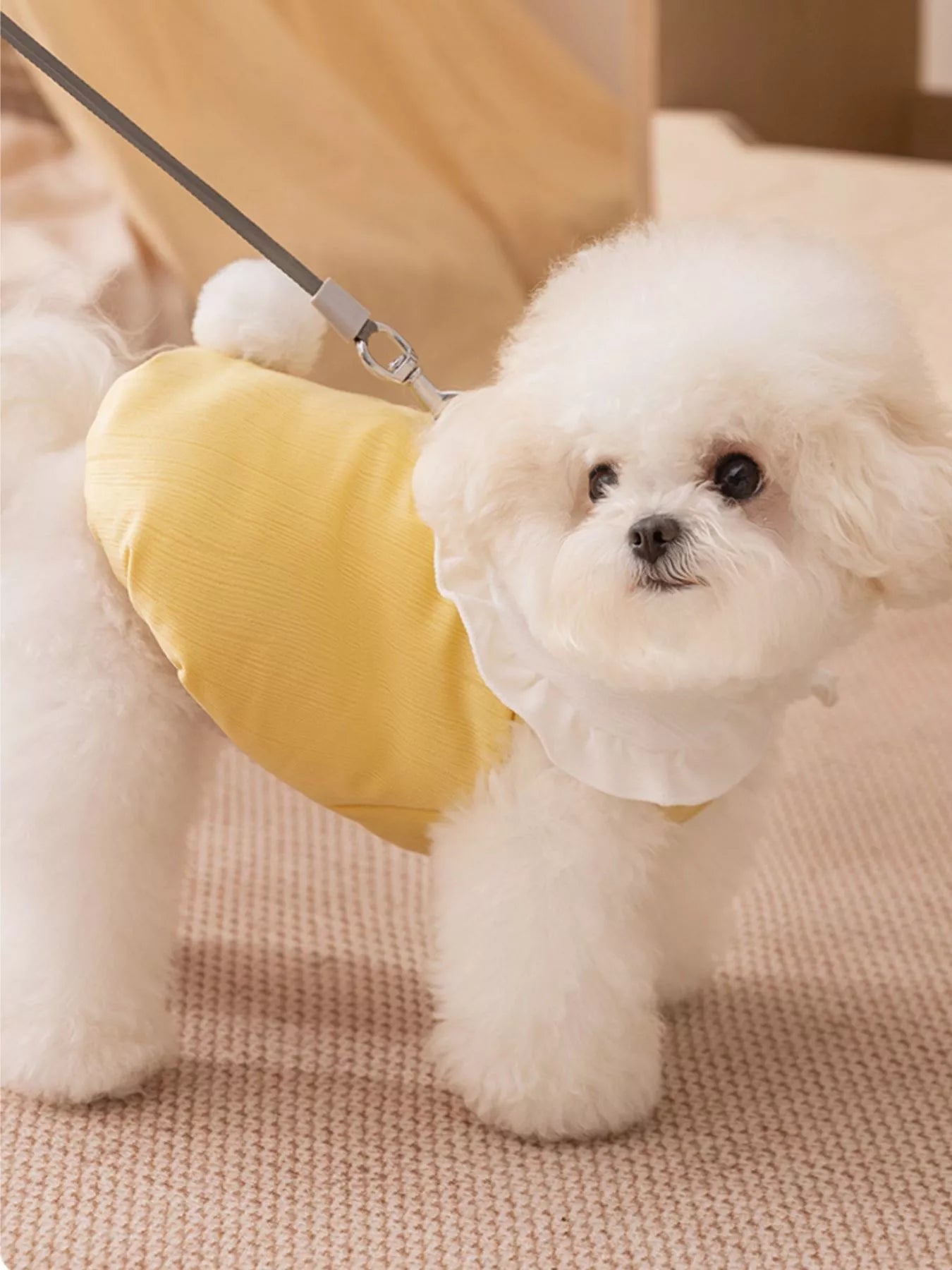 Button-Down Pet Jumpsuit with Ruffle Collar – Embroidered One-Piece Outfit for Dogs & Cats – view 3