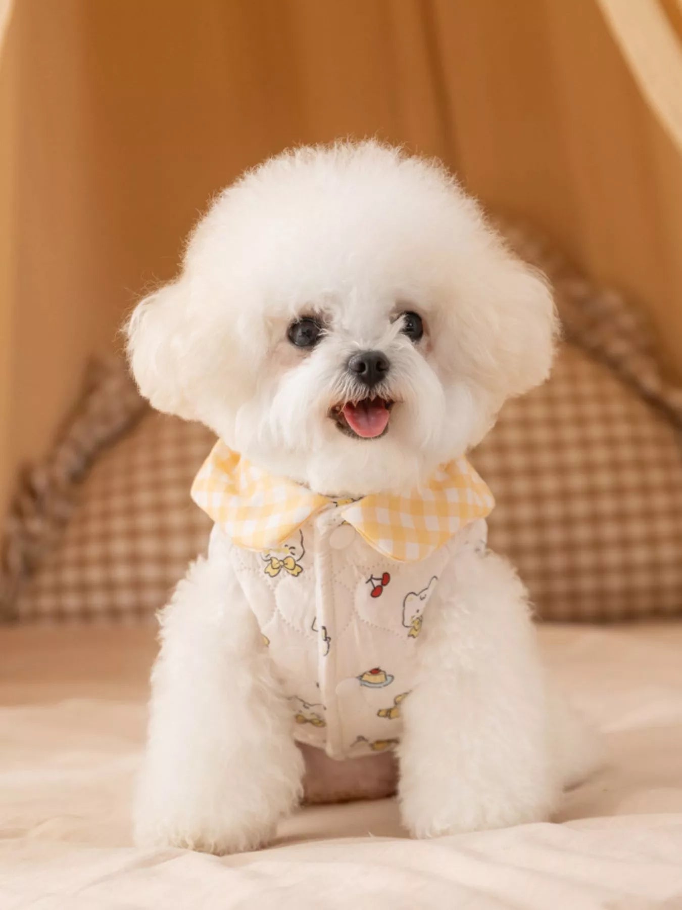 Yellow cartoon print padded pet jacket with gingham collar, warm polyester coat for dogs and cats