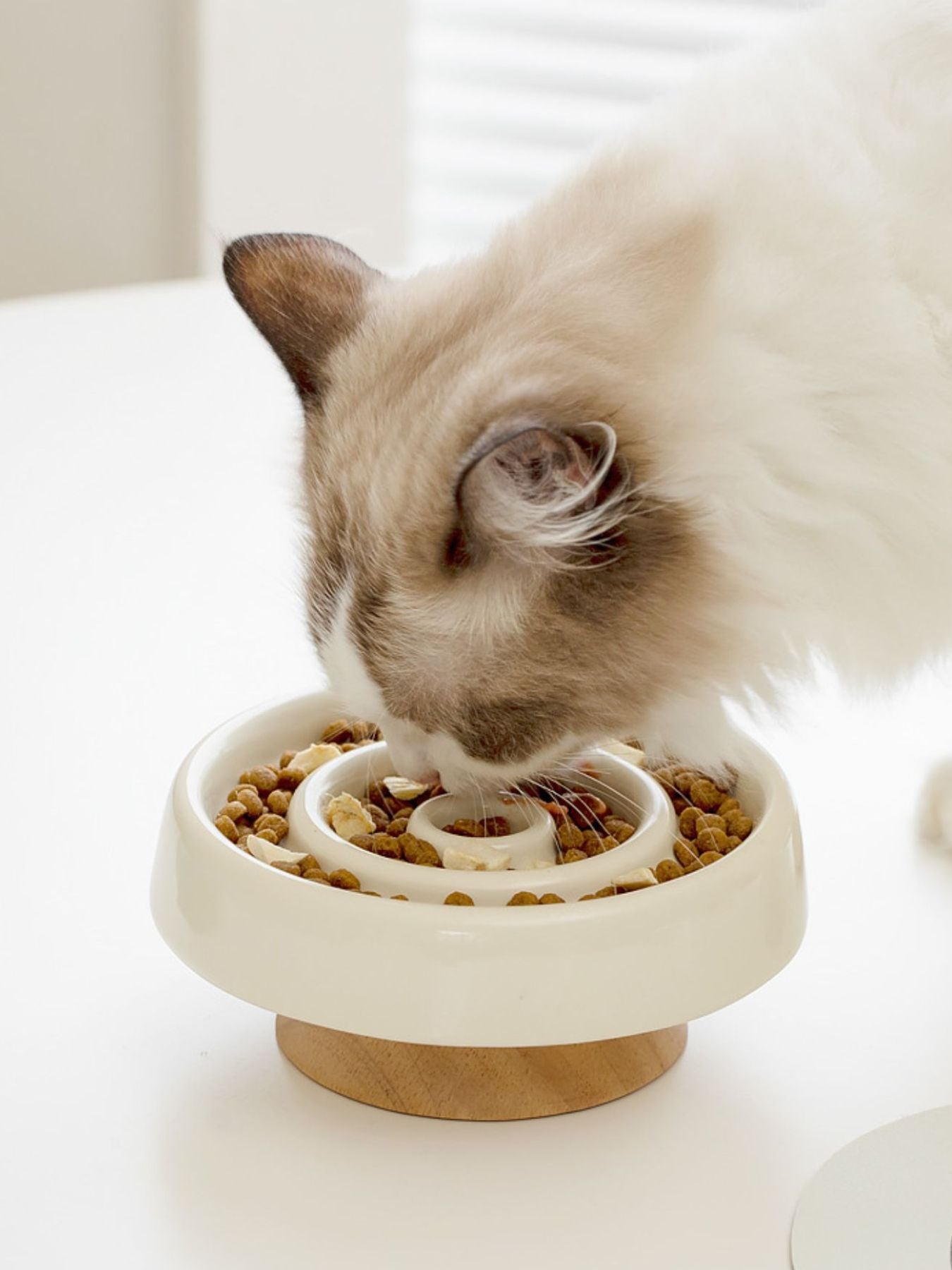 Ceramic interactive slow feeder pet bowl for dogs and cats