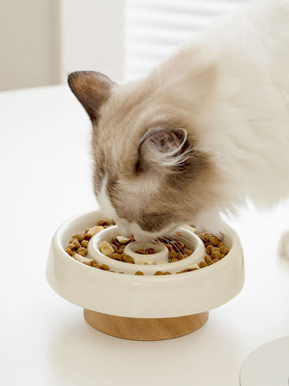 Ceramic interactive slow feeder pet bowl for dogs and cats
