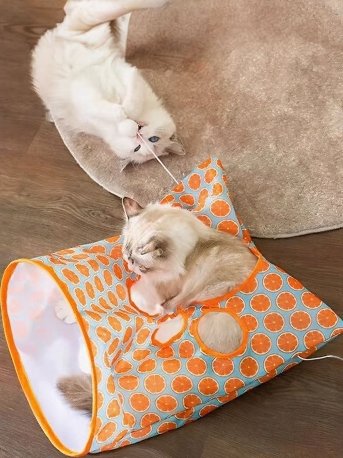 Collapsible Printed Polyester Cat Tunnel Toy – Pop-Up Play Tunnel for Cats, 17.7"x13.8" – view 4