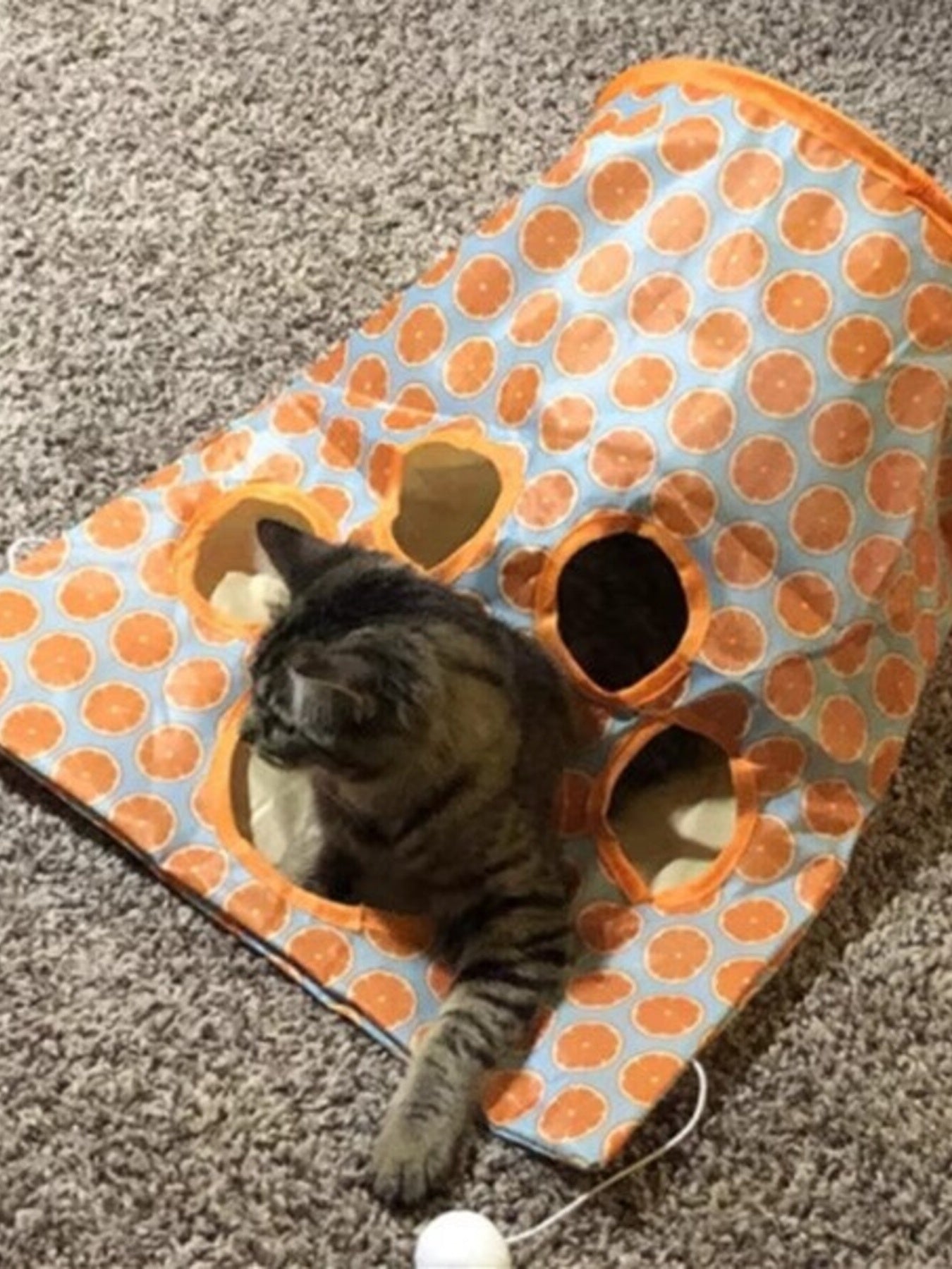 Collapsible Printed Polyester Cat Tunnel Toy – Pop-Up Play Tunnel for Cats, 17.7"x13.8" – view 5