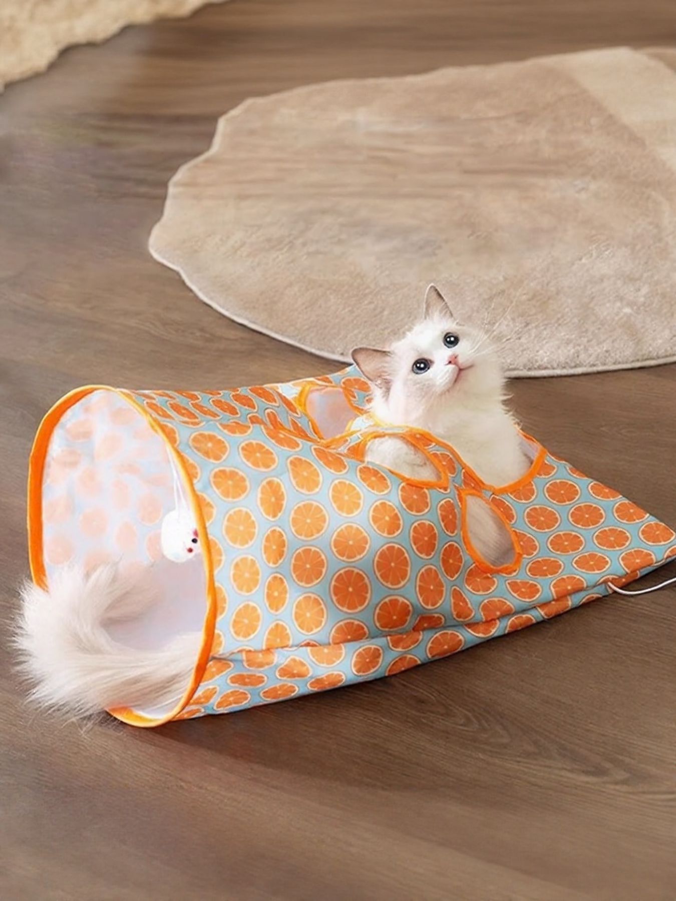 Collapsible printed polyester pop-up cat tunnel play toy for cats