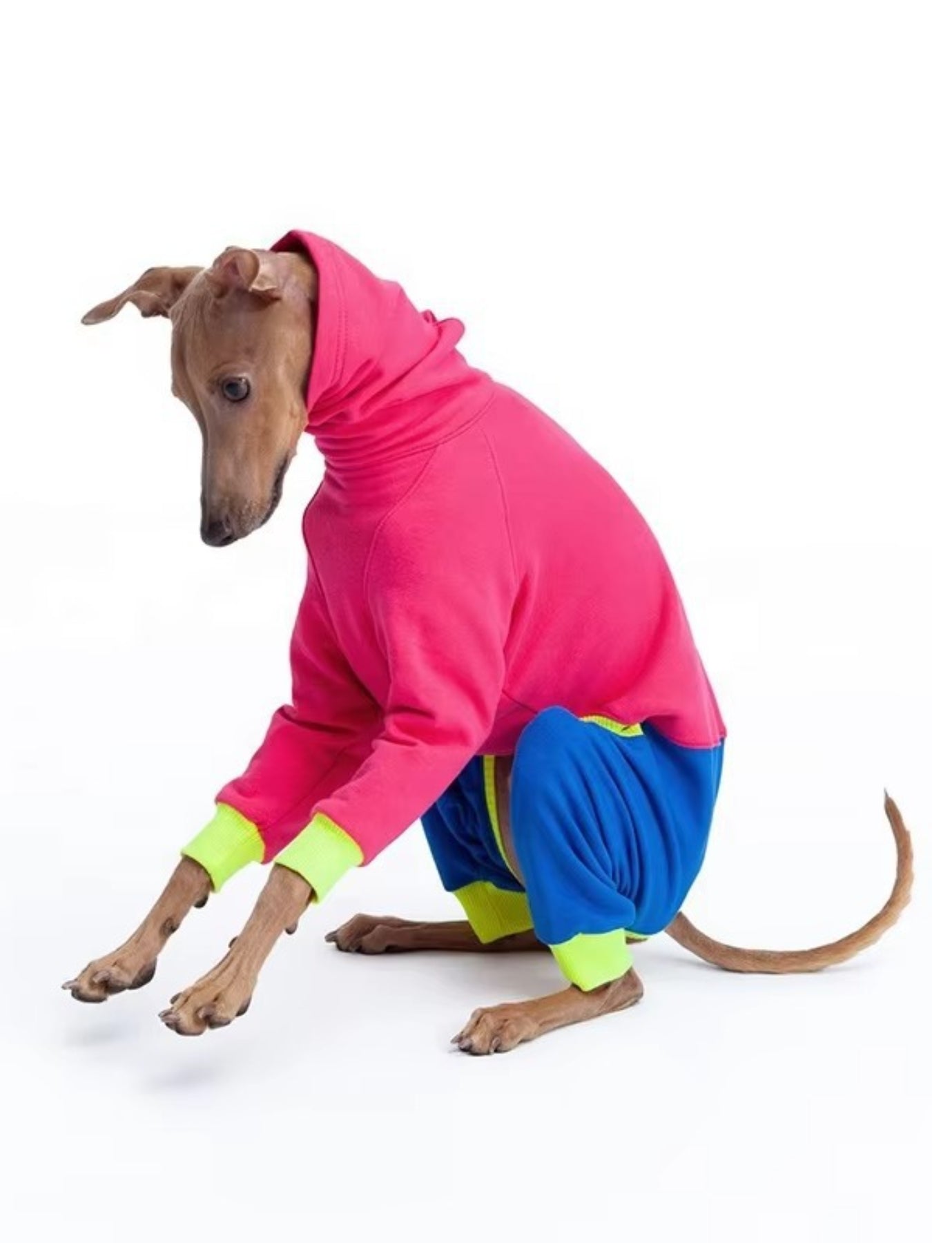 Color Block Turtleneck Pet Jumpsuit – Plus Size One-Piece for Dogs & Cats – view 2