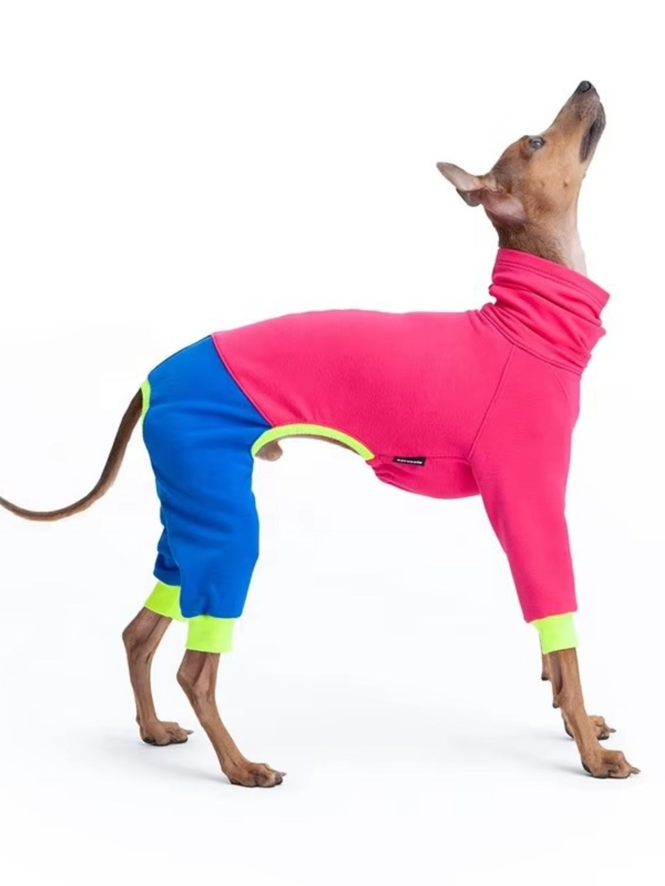 Color Block Turtleneck Pet Jumpsuit – Plus Size One-Piece for Dogs & Cats – view 3