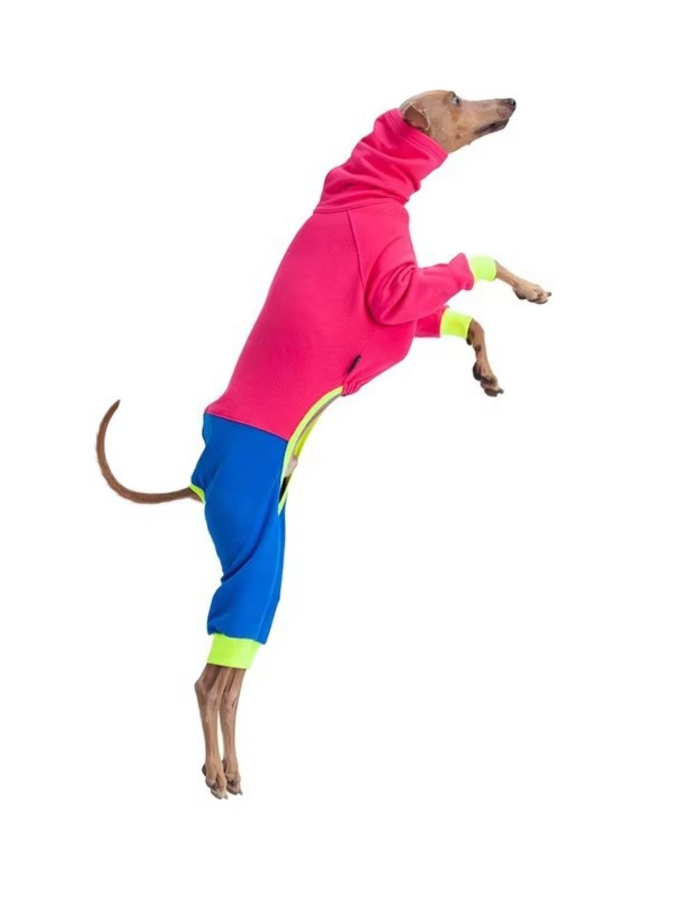 Color Block Turtleneck Pet Jumpsuit – Plus Size One-Piece for Dogs & Cats – view 4