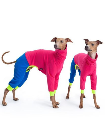 Color block turtleneck pet jumpsuit, plus-size one-piece for dogs and cats