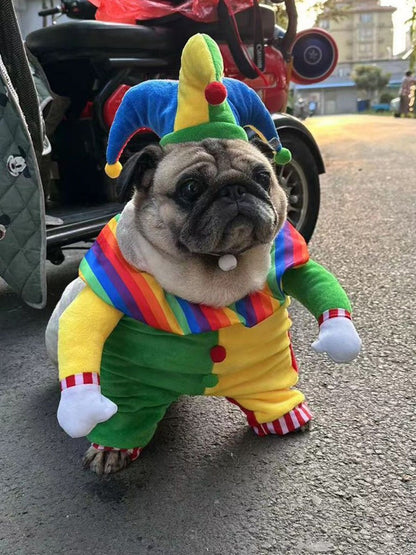Colorful clown pet jumpsuit with hat, funny costume set for dogs and cats