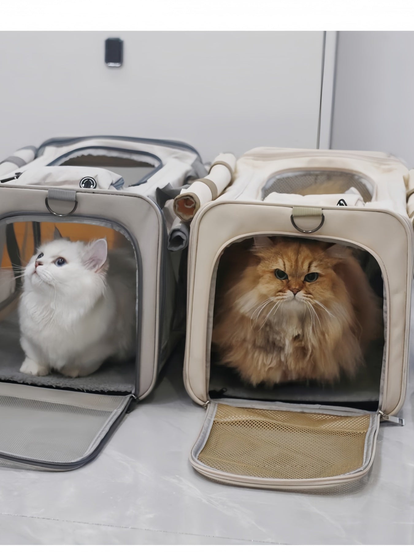 Comfortable Breathable Large Polyester Pet Carrier Bag – Travel Bag for Dogs & Cats – view 7