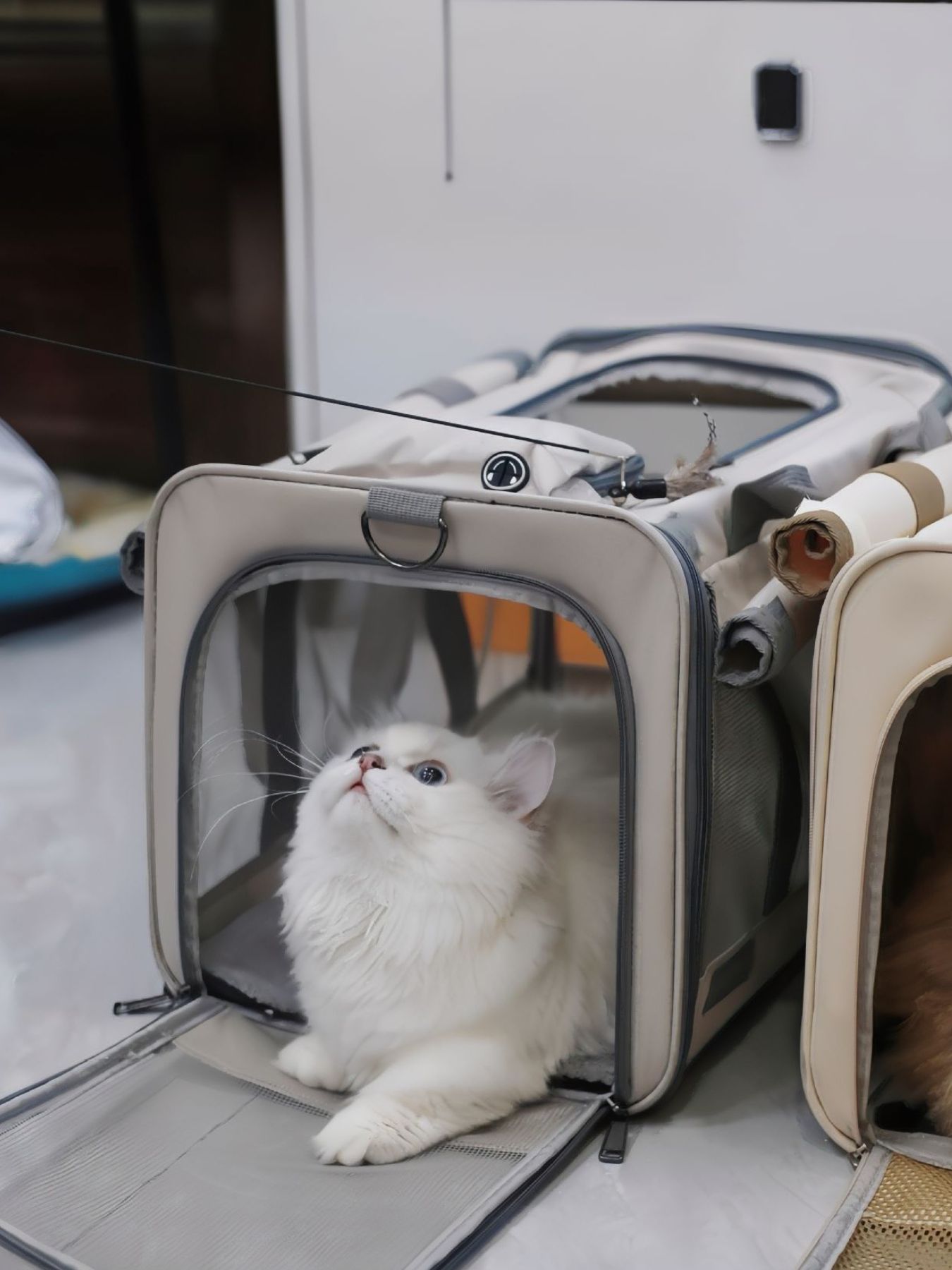Comfortable Breathable Large Polyester Pet Carrier Bag – Travel Bag for Dogs & Cats – view 9