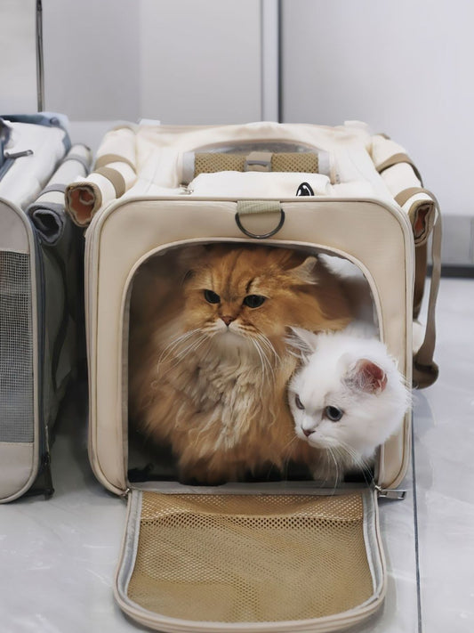 Comfortable breathable large polyester pet carrier travel bag for dogs and cats