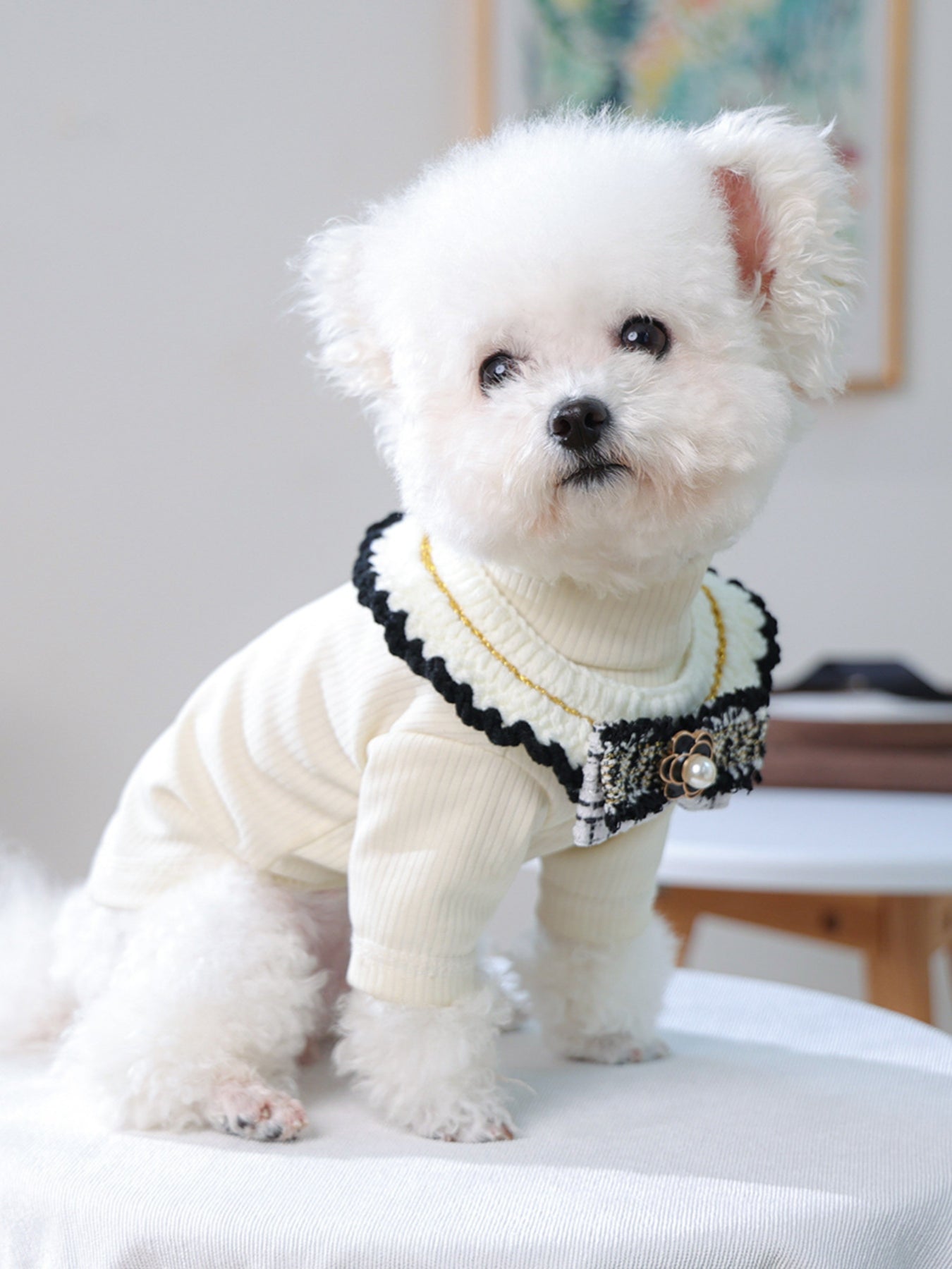 Contrast Lace Bow Pet Scarf – One-Size Neck Accessory for Dogs & Cats – view 14