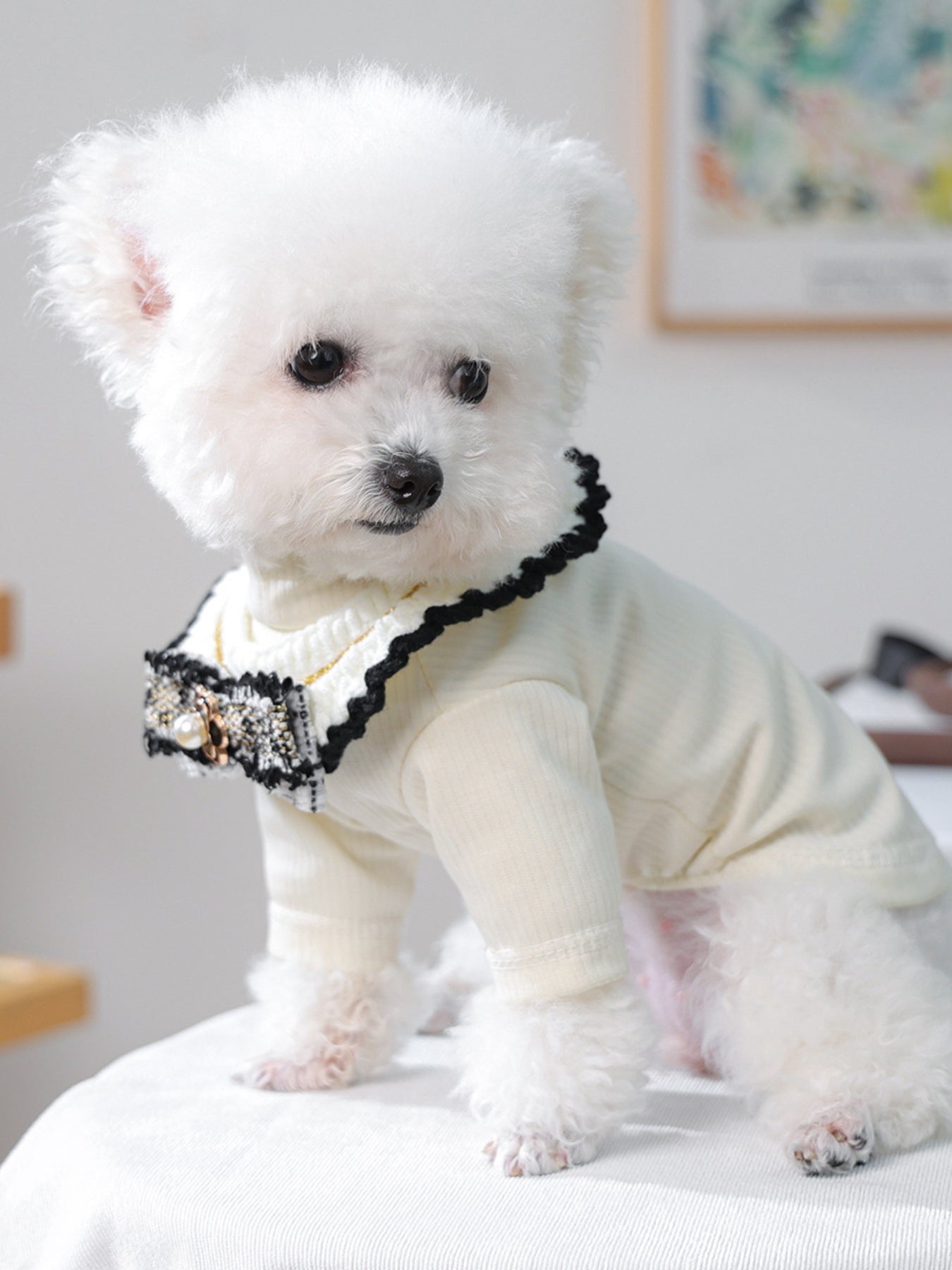 Contrast Lace Bow Pet Scarf – One-Size Neck Accessory for Dogs & Cats – view 15