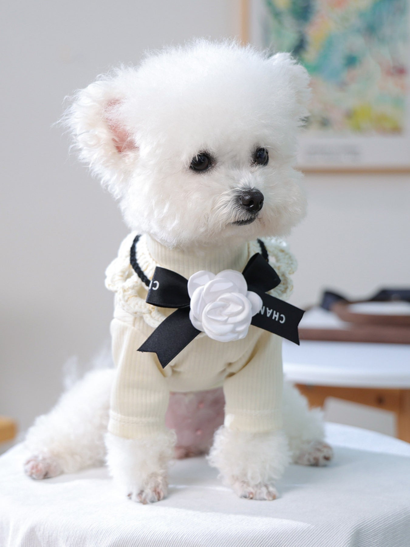 Contrast Lace Bow Pet Scarf – One-Size Neck Accessory for Dogs & Cats – view 18