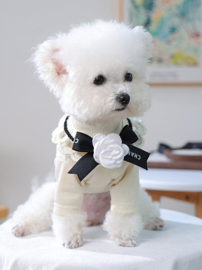 Contrast Lace Bow Pet Scarf – One-Size Neck Accessory for Dogs & Cats – view 18