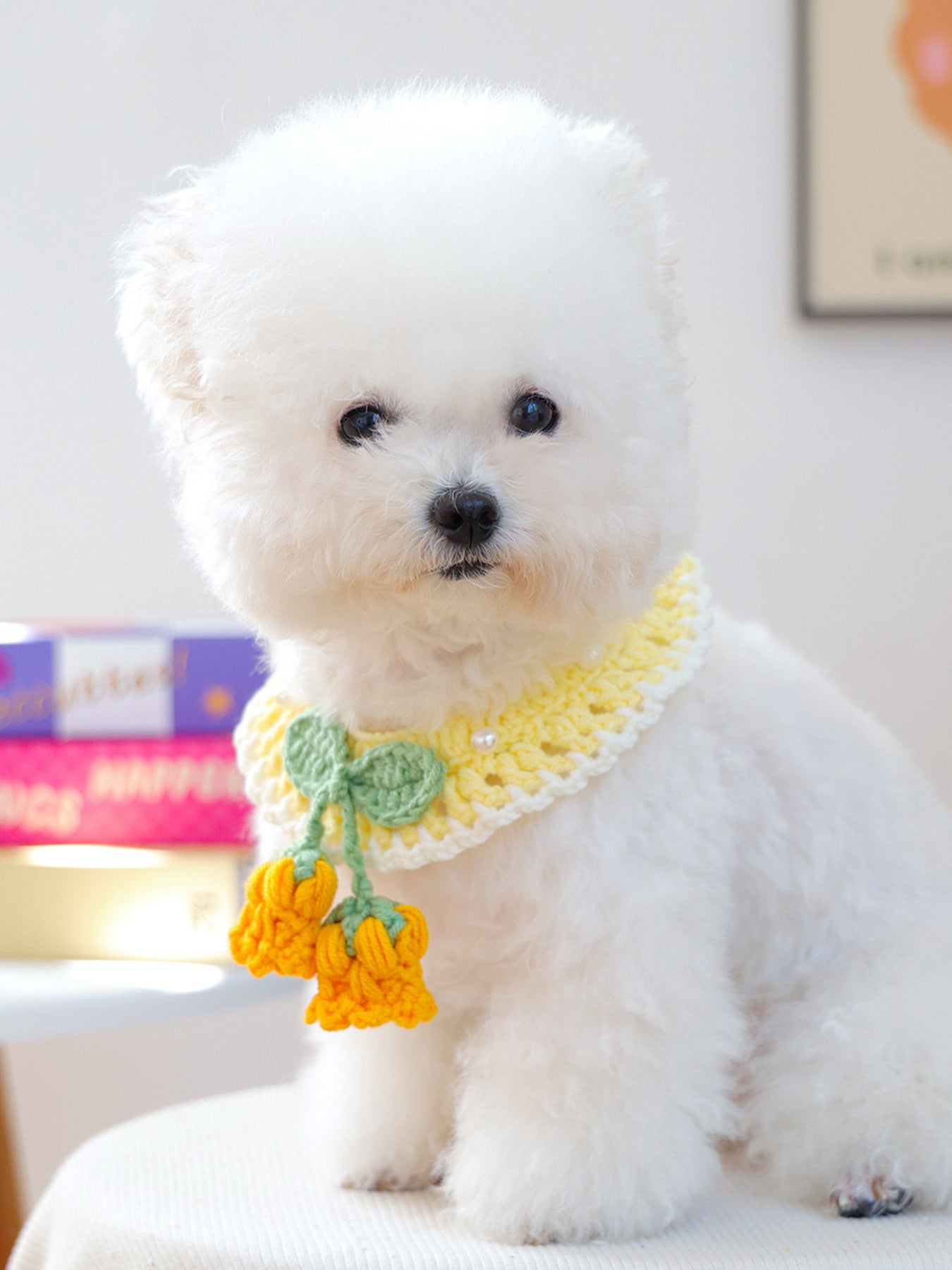 Contrast Lace Bow Pet Scarf – One-Size Neck Accessory for Dogs & Cats – view 3