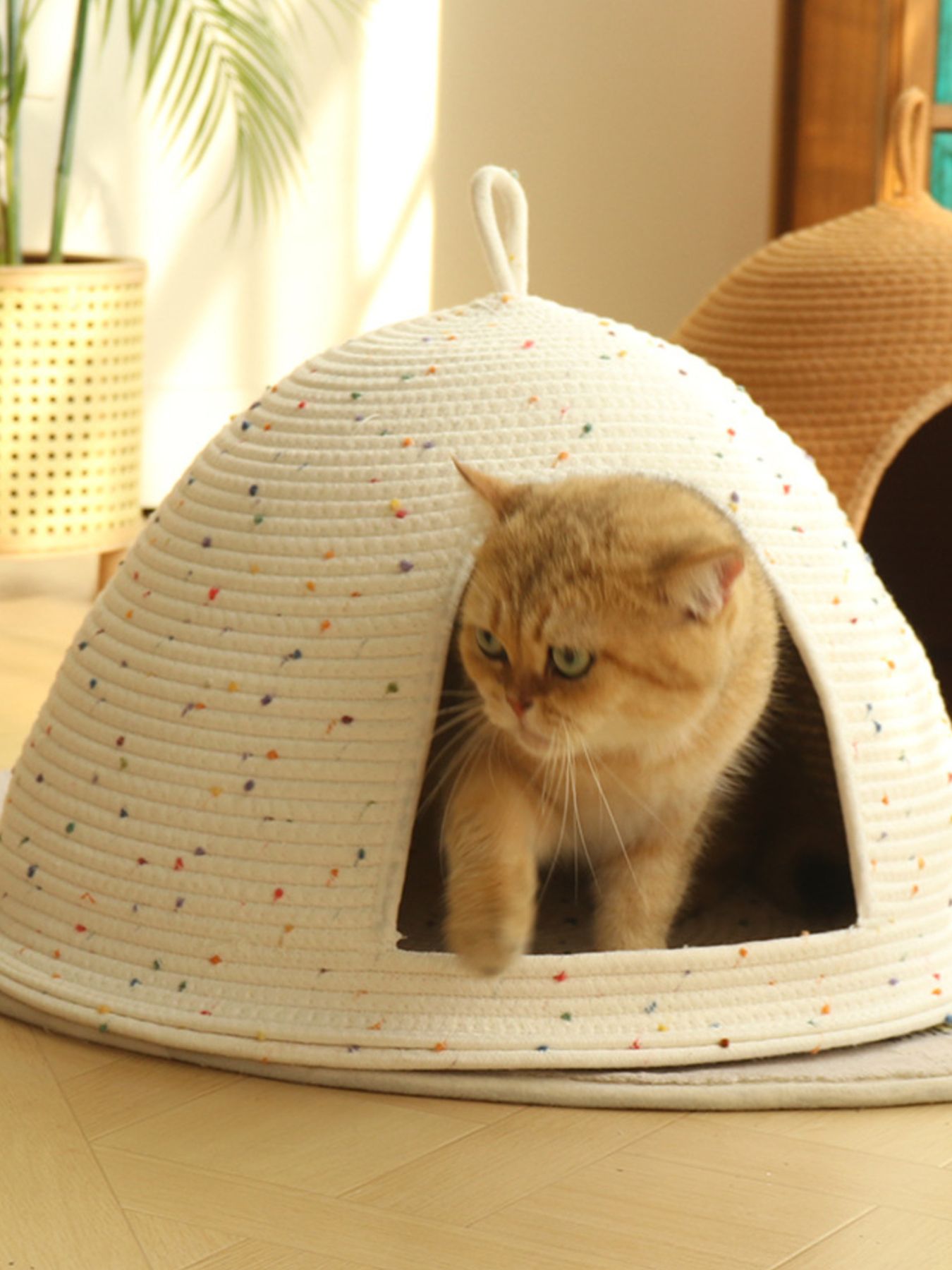 Cozy Rope Woven Cat Cave Bed with Handle – Semi-Enclosed Polyester Nest for Cats & Dogs – view 5